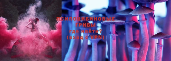 стафф Алексеевка
