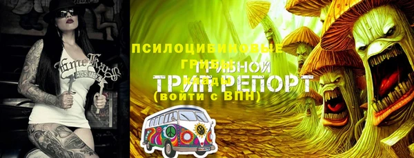 стафф Алексеевка