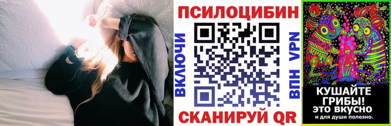 Галлюциногенные грибы мицелий  продажа наркотиков  Тогучин 